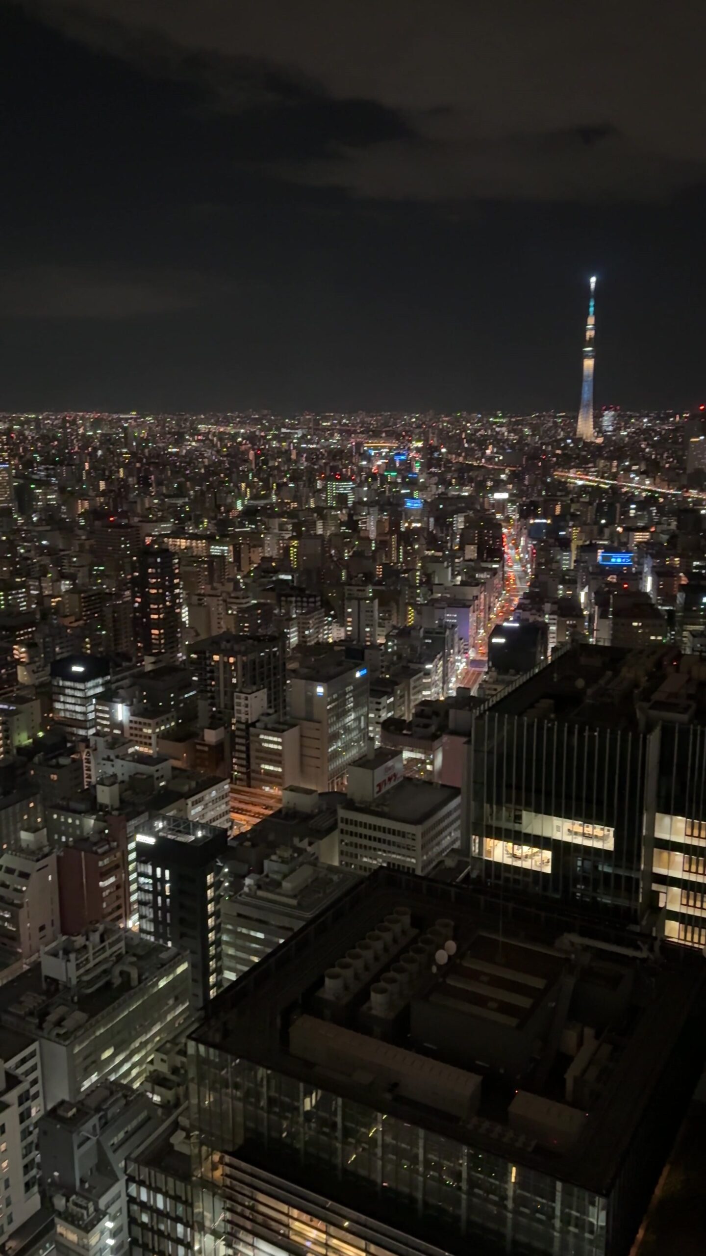 Tokyo Skytree and the city skyline seen from our room at night